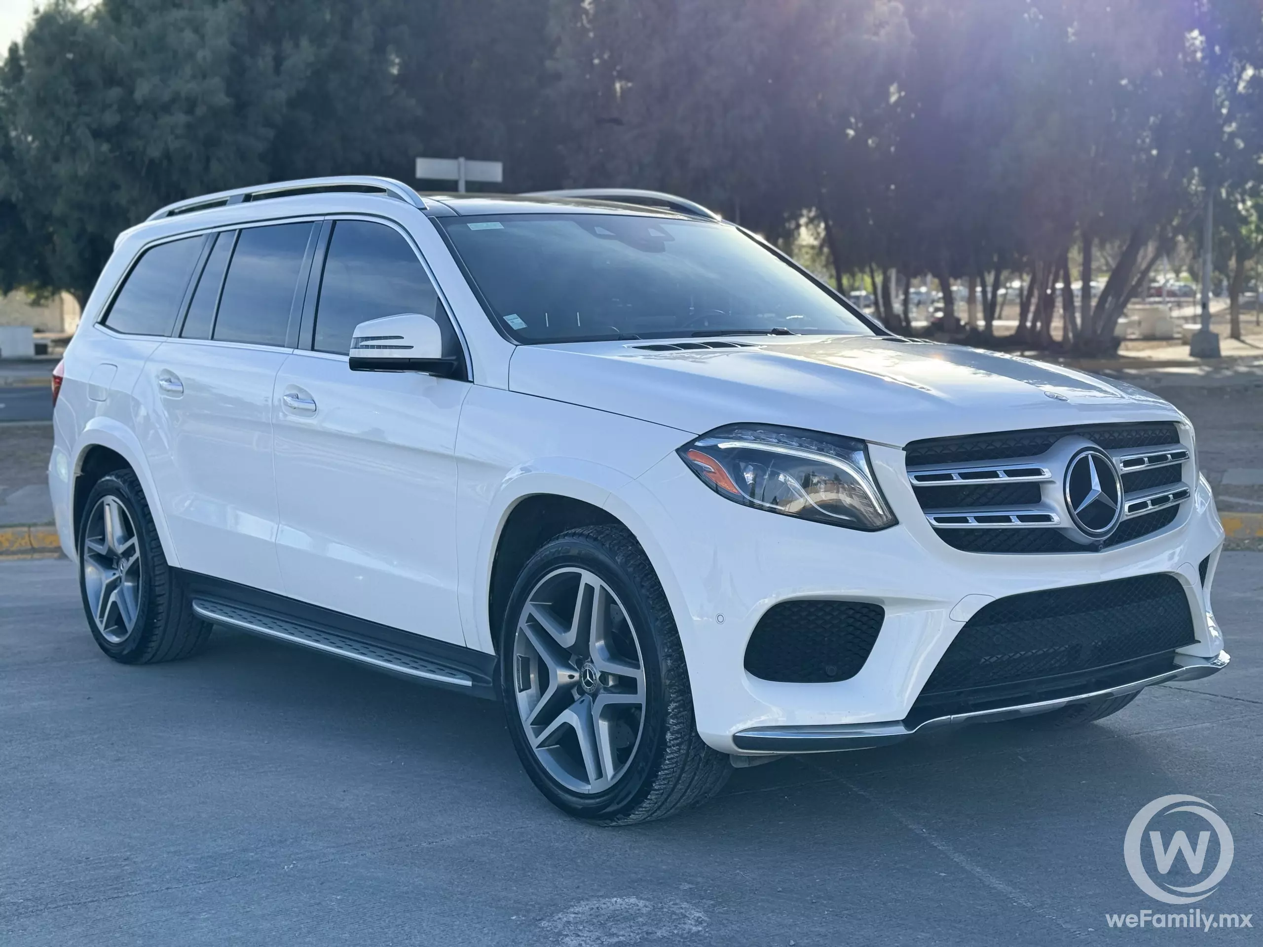 Mercedes Benz Clase GLS VUD 2019
