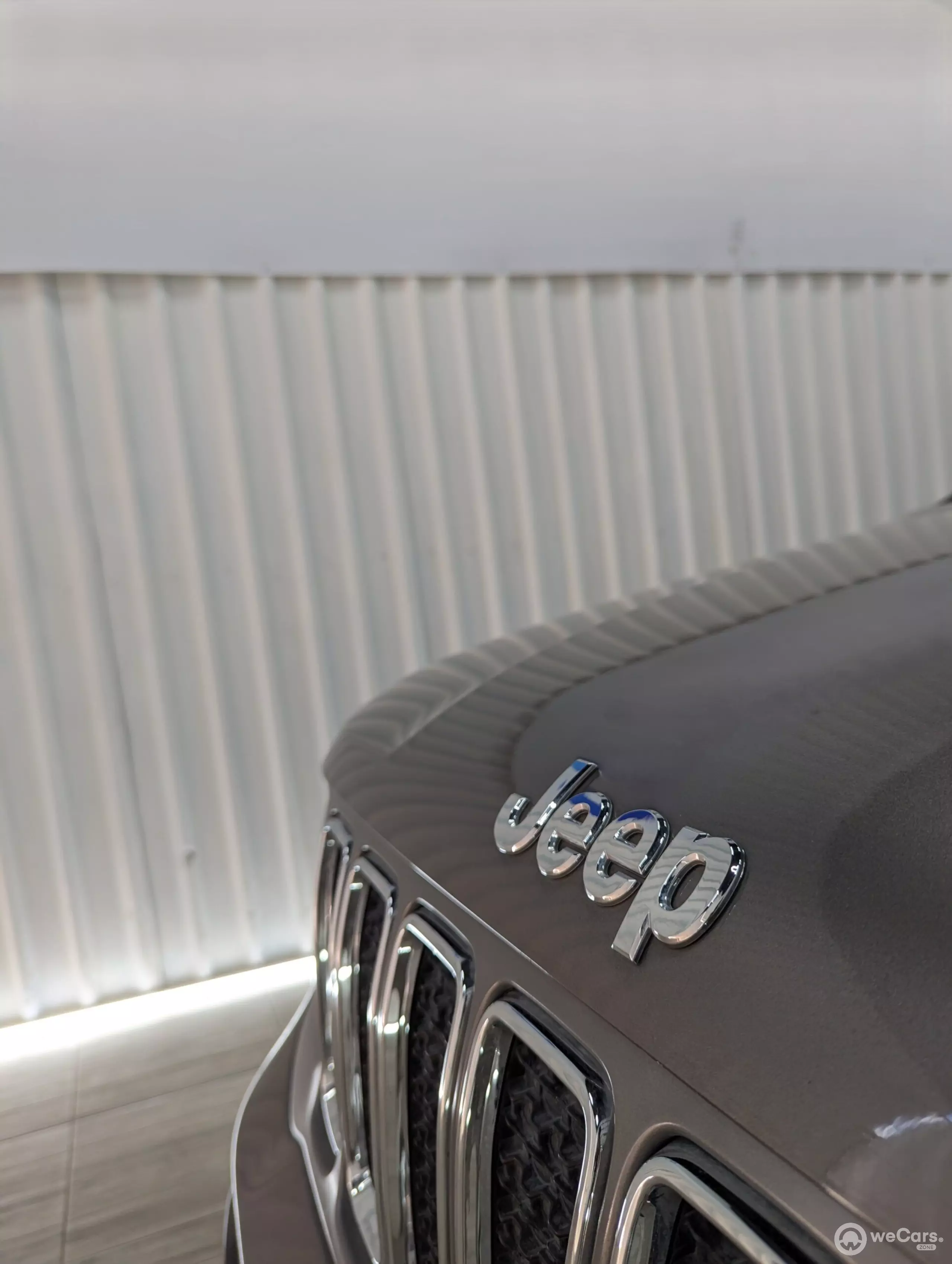 Jeep Renegade VUD