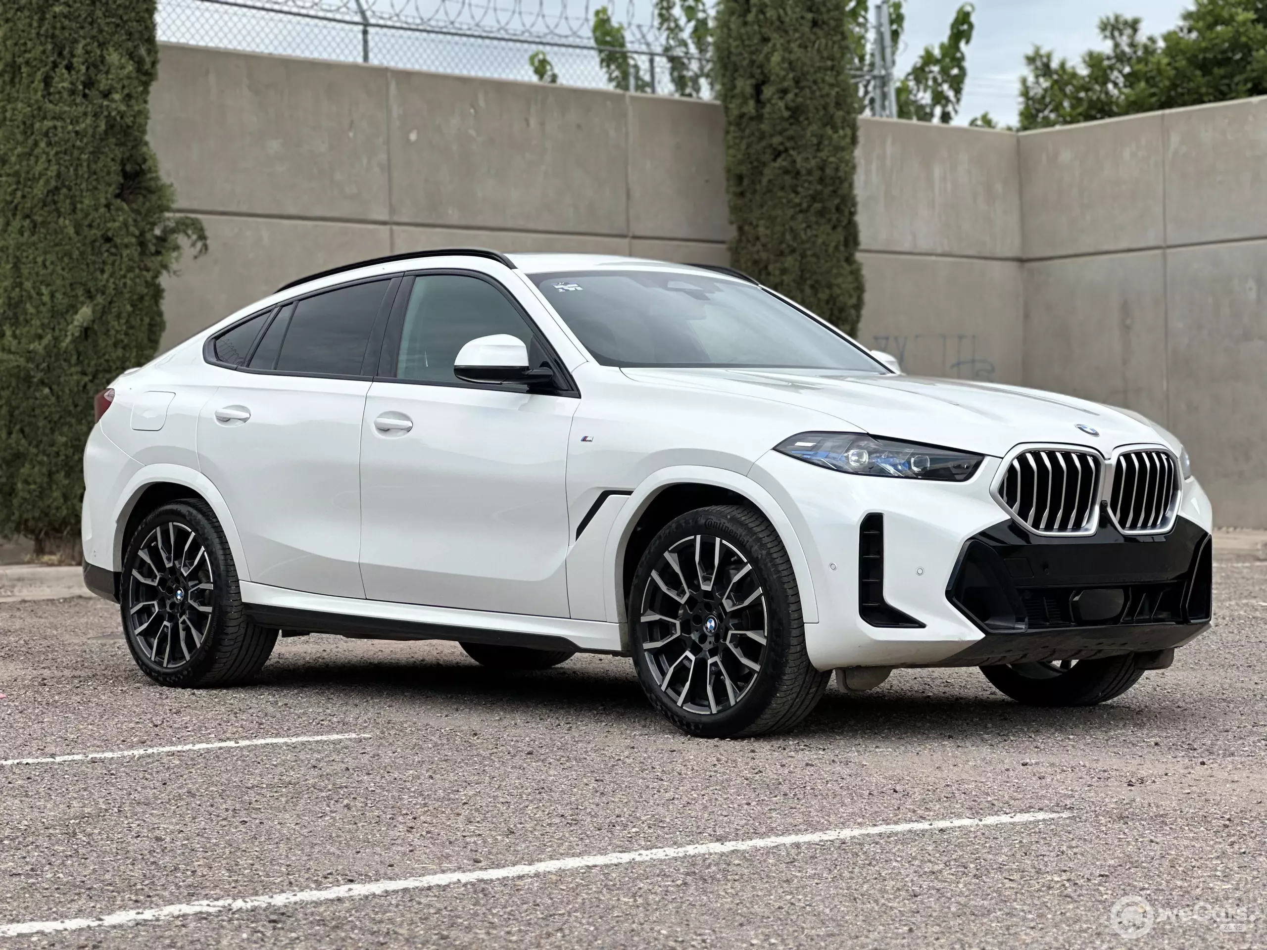 BMW X6 VUD 2025