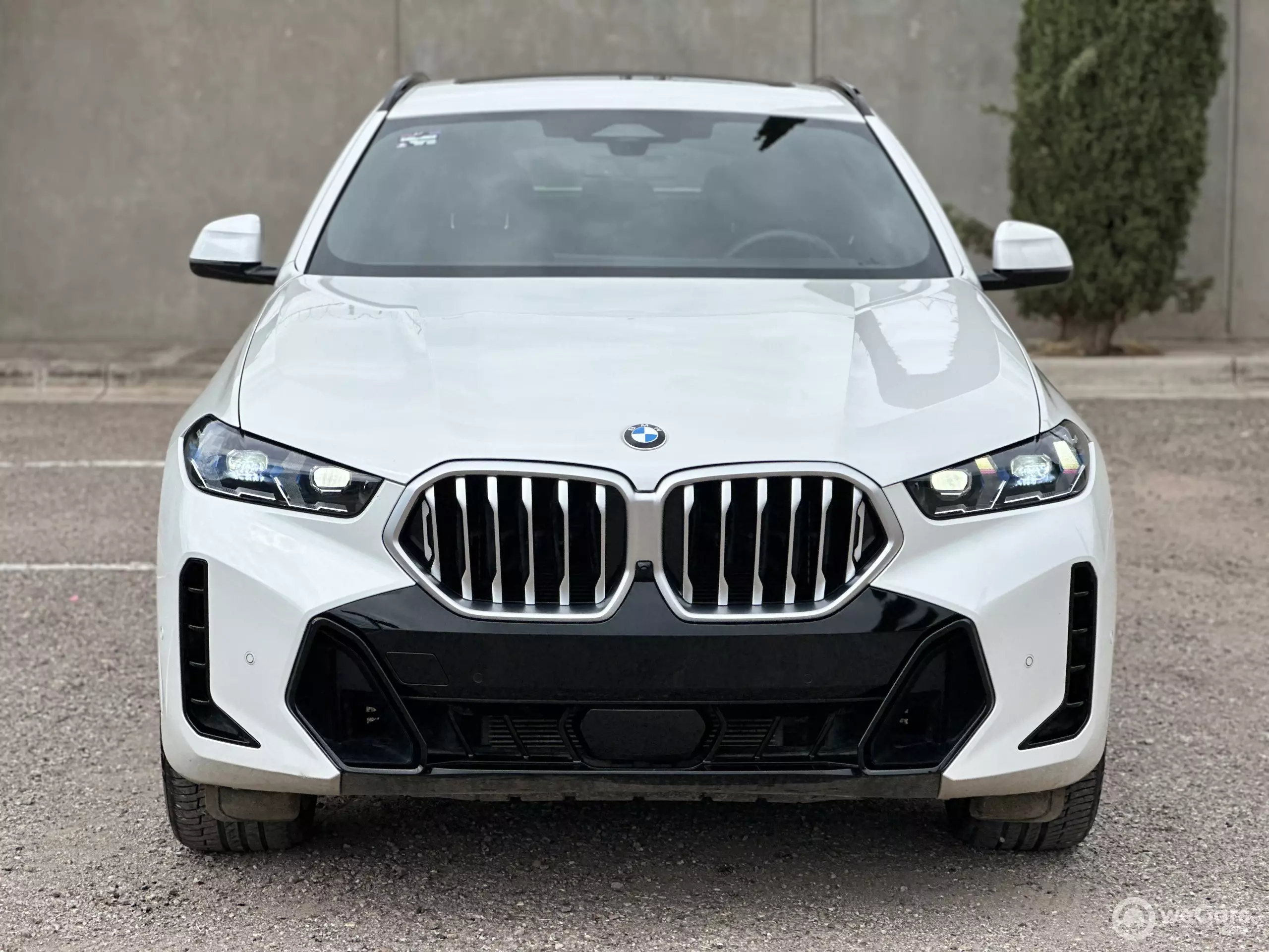 BMW X6 VUD