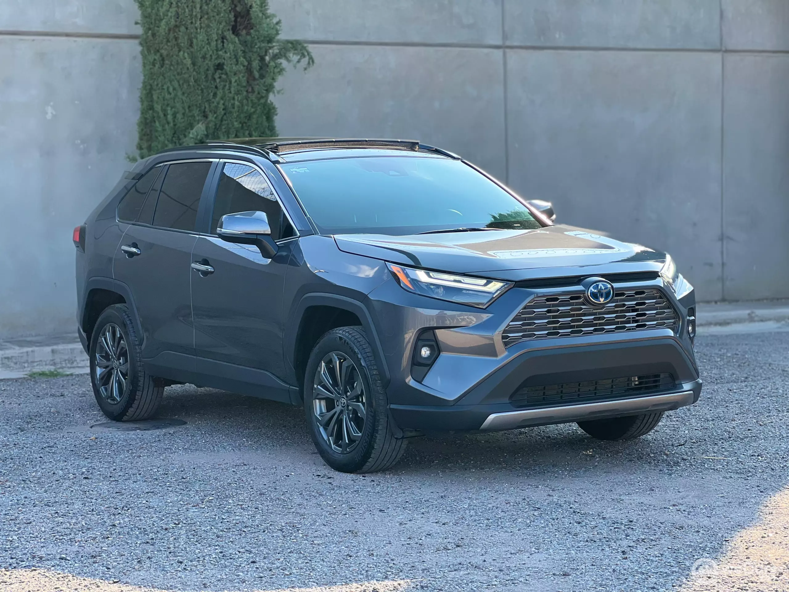 Toyota RAV4 VUD 2024