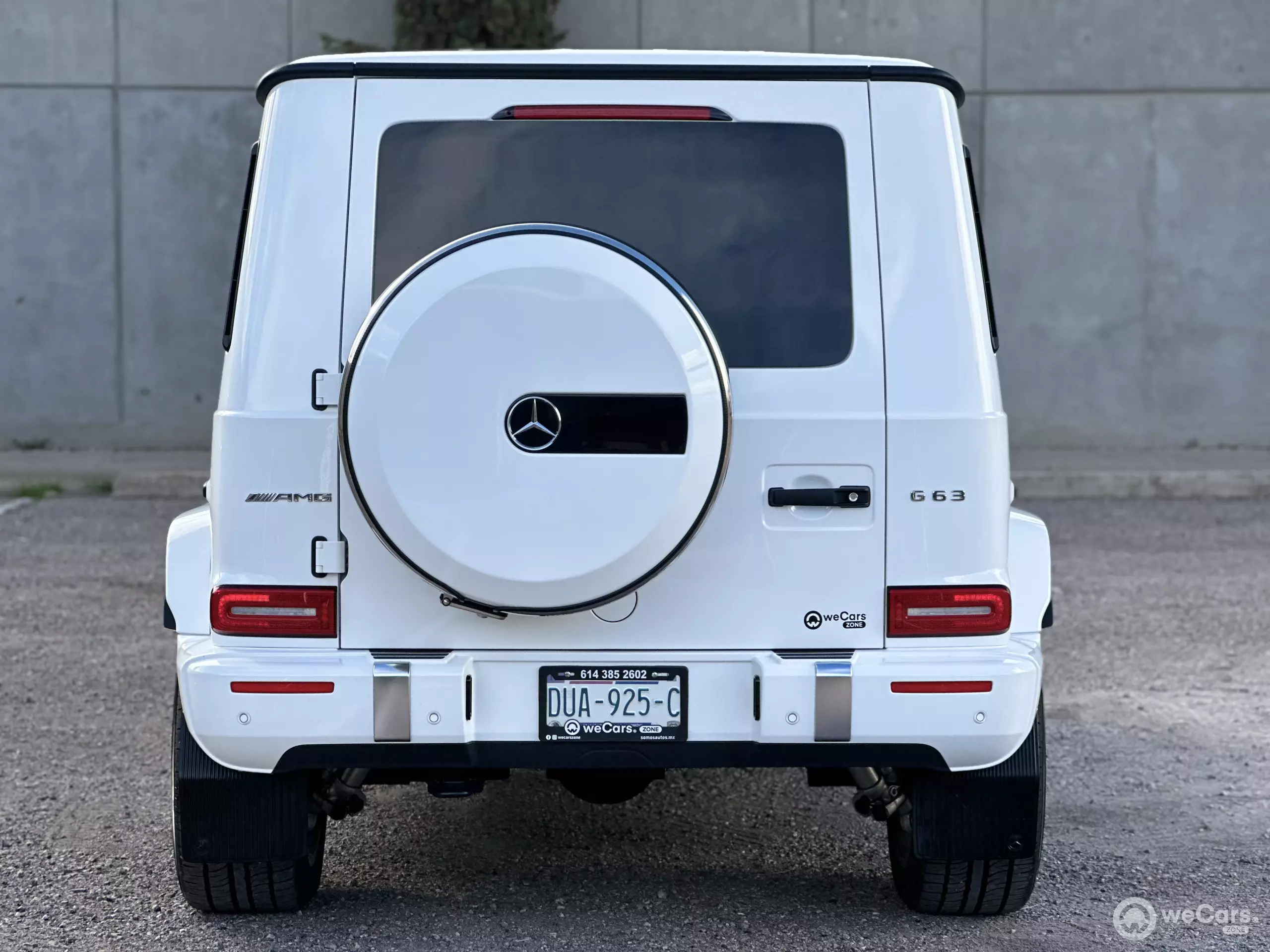 Mercedes Benz Clase G VUD