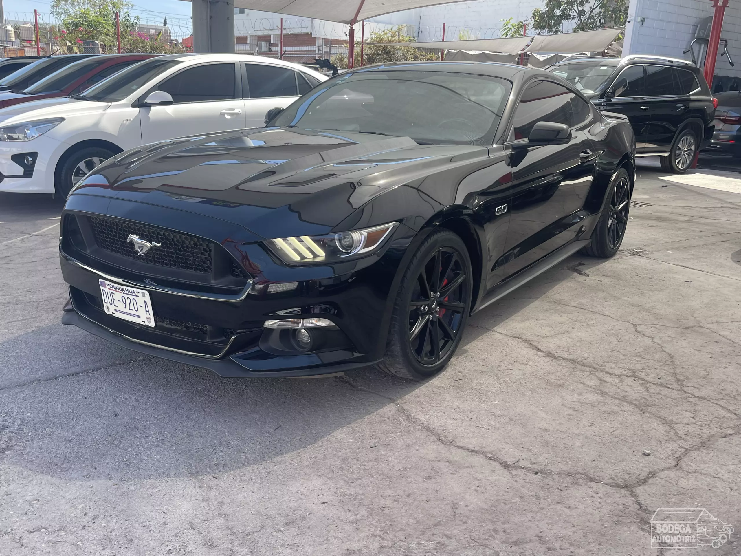 Ford Mustang