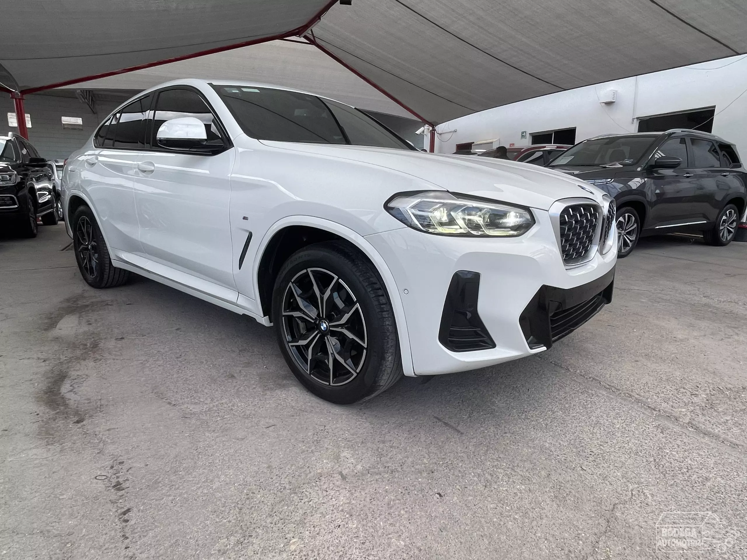 BMW X4 VUD
