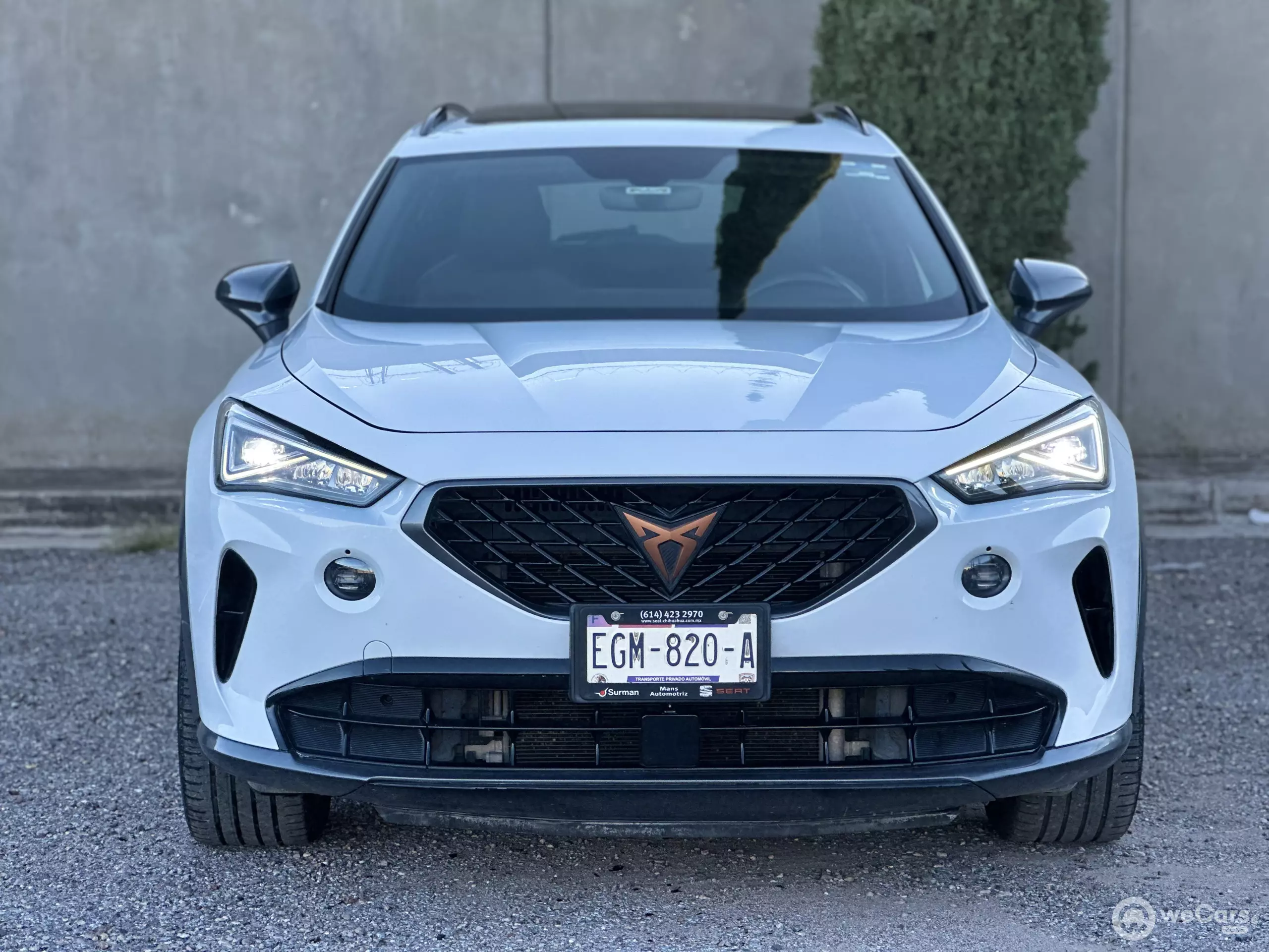 Cupra Formentor VUD