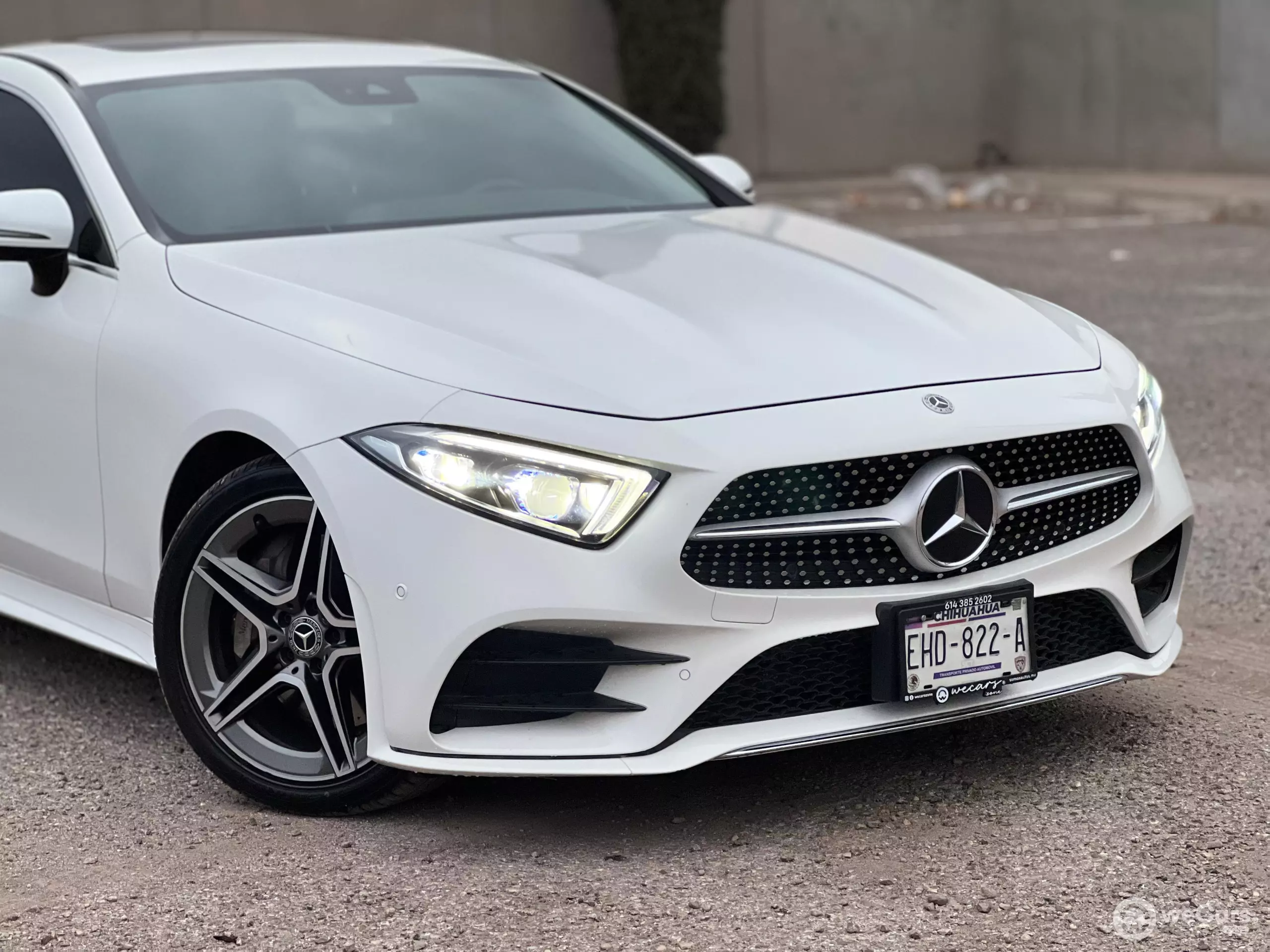 Mercedes Benz Clase CLS