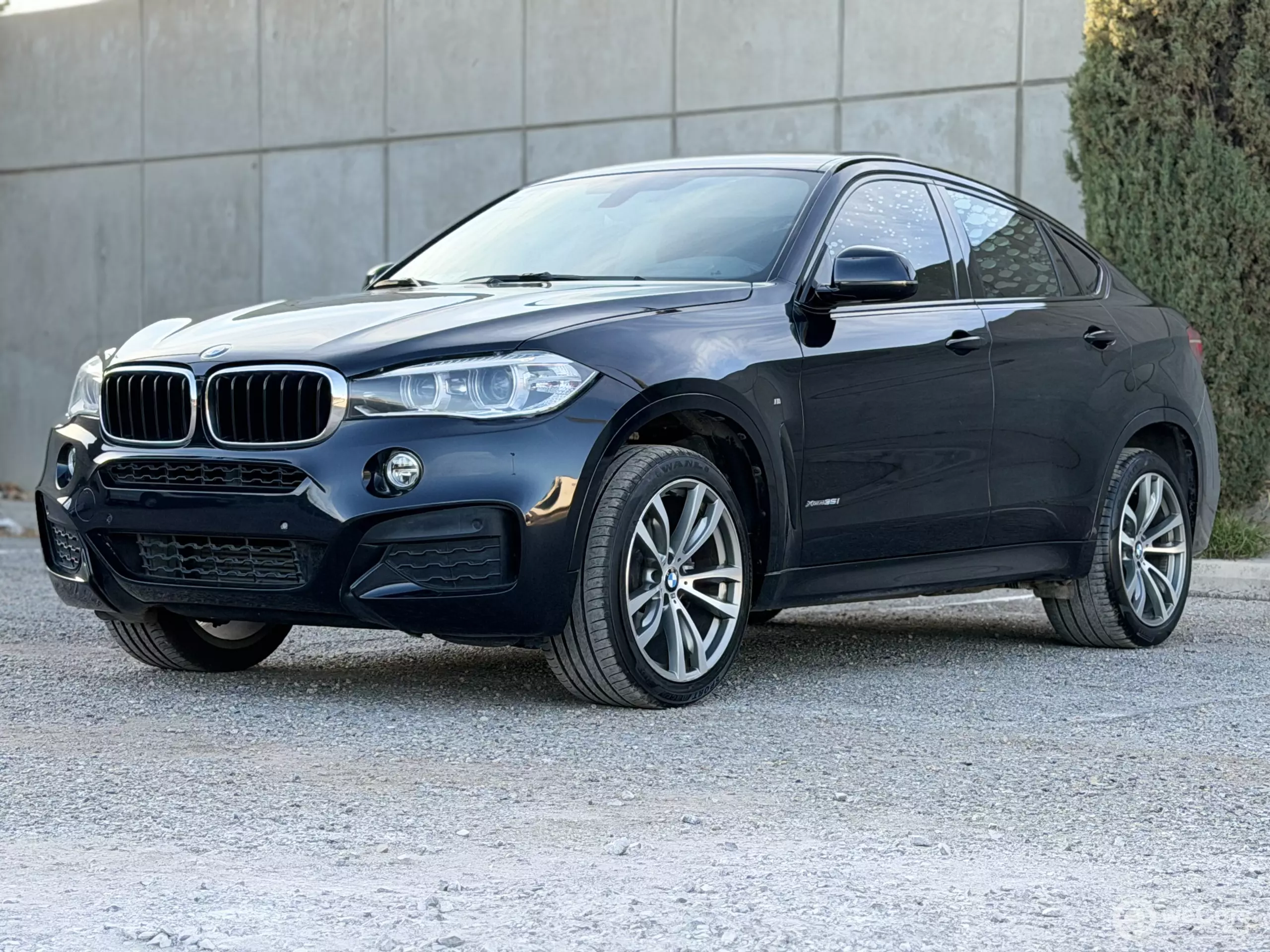 BMW X6 VUD
