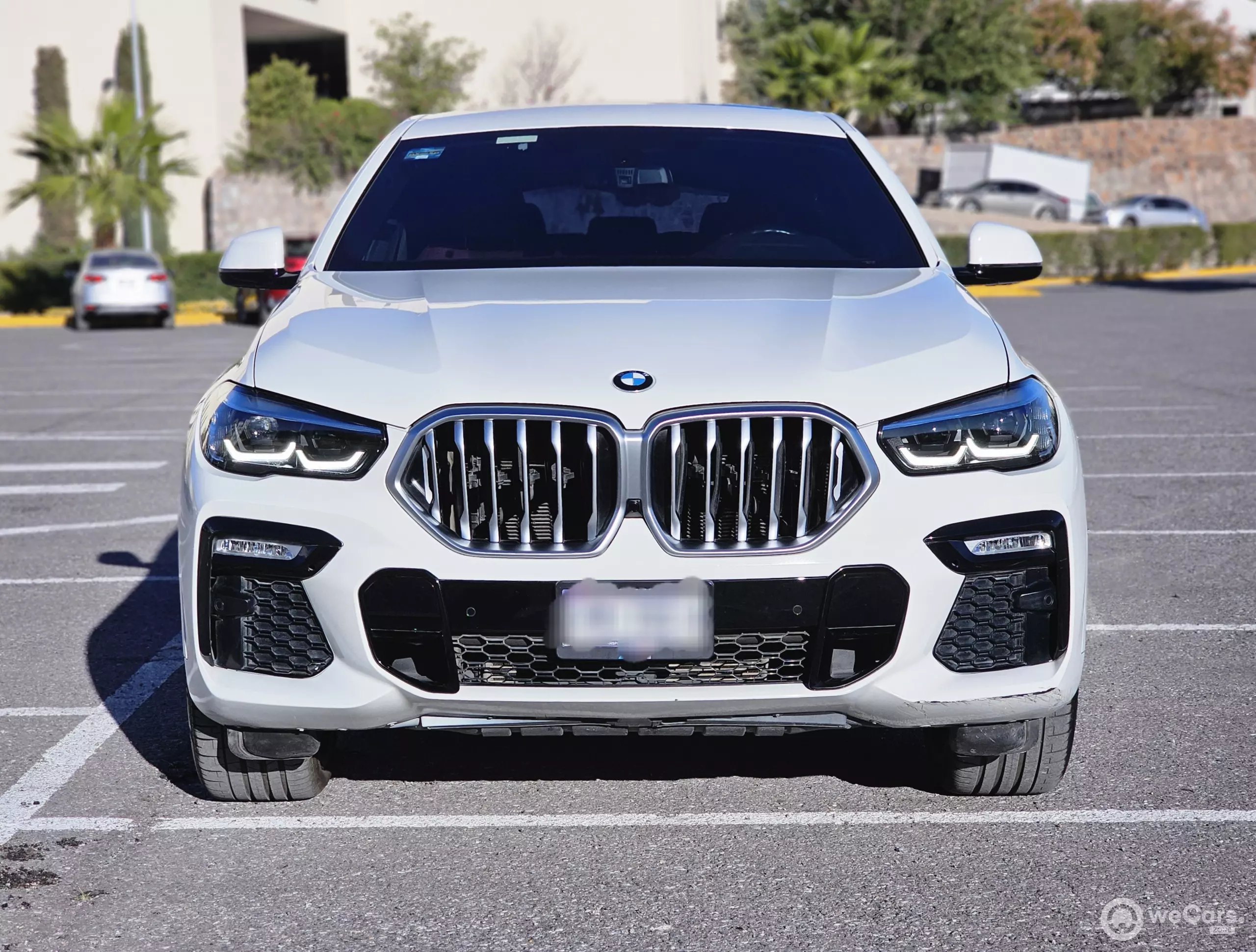 BMW X6 VUD