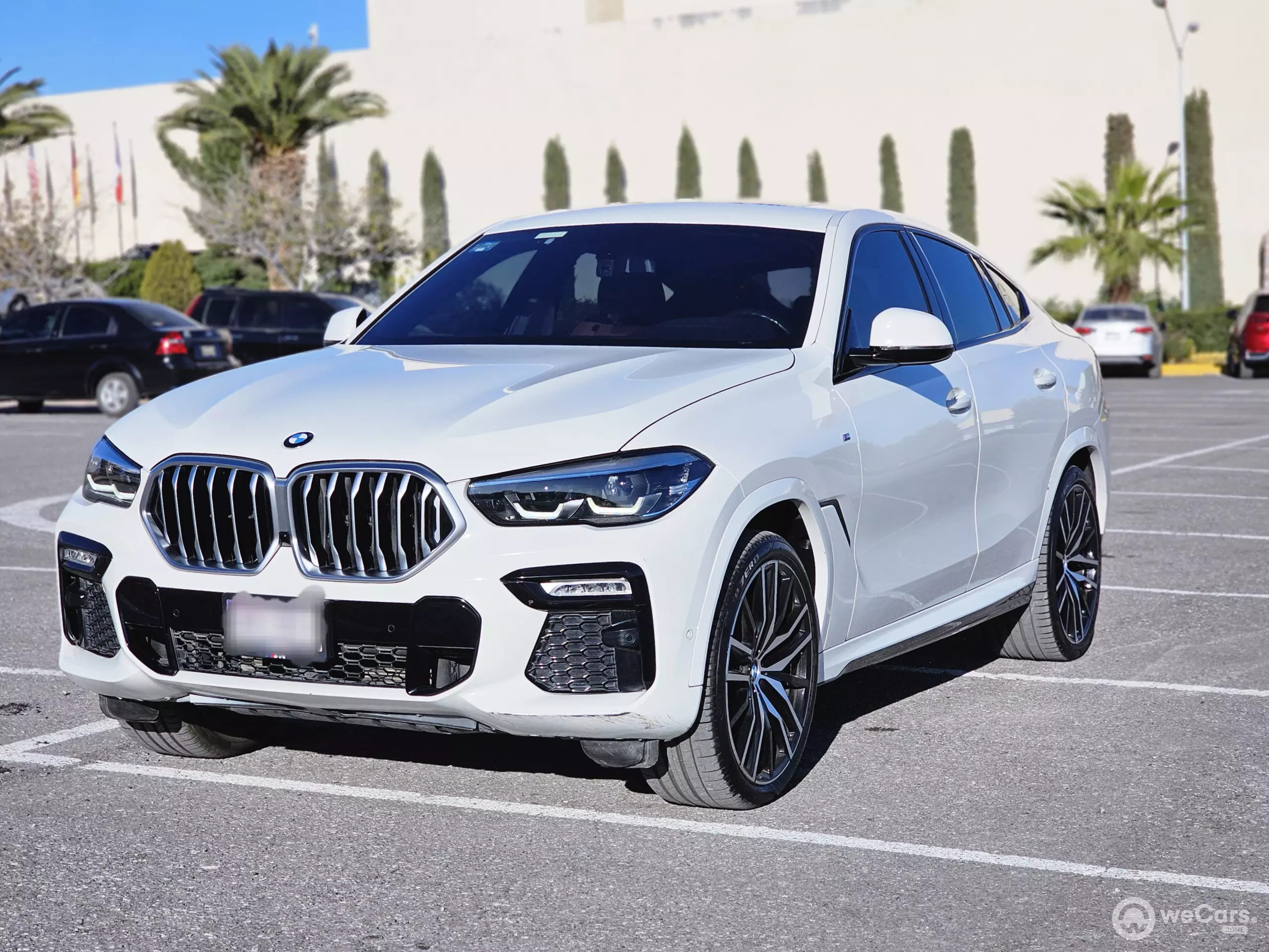 BMW X6 VUD