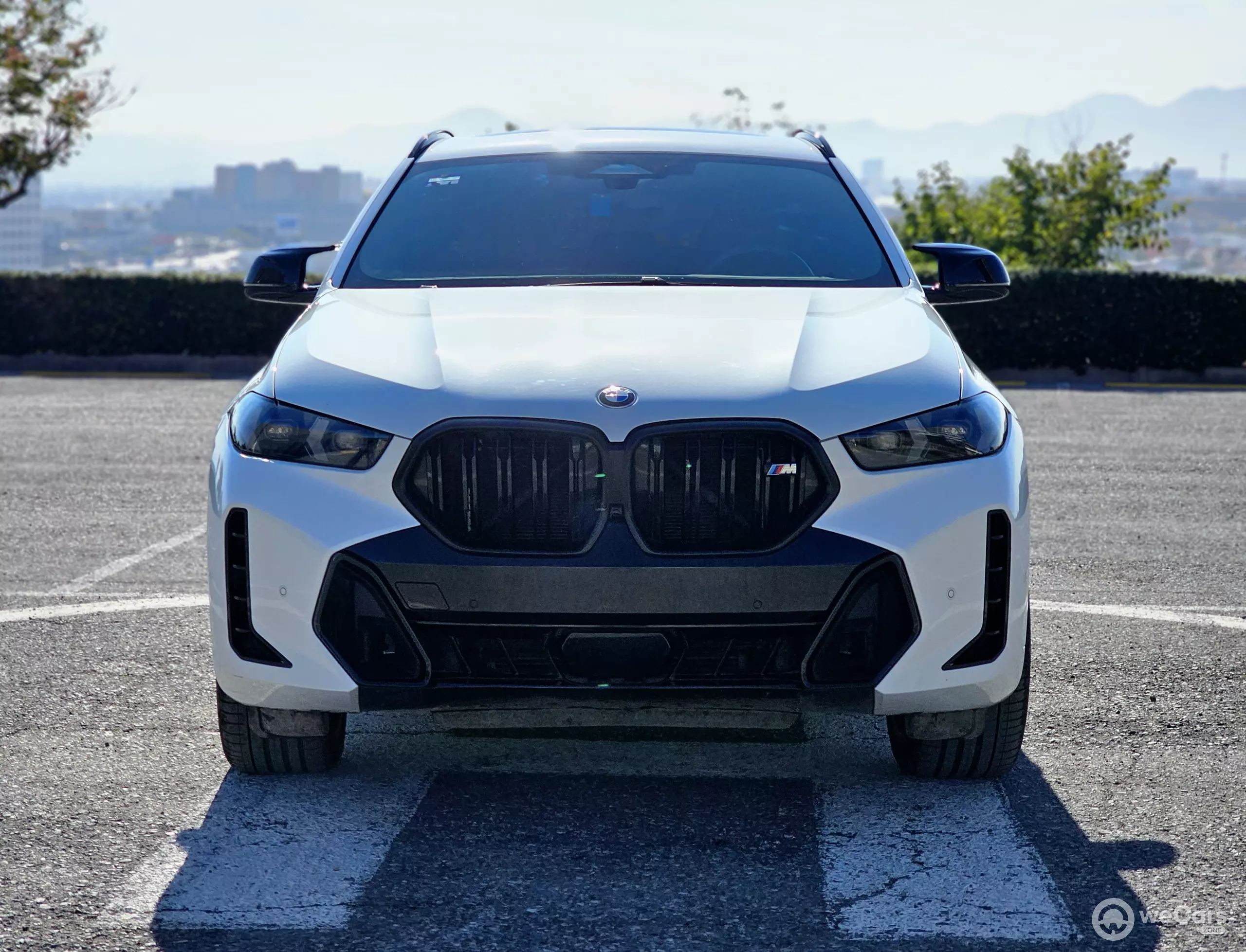 BMW X6 VUD