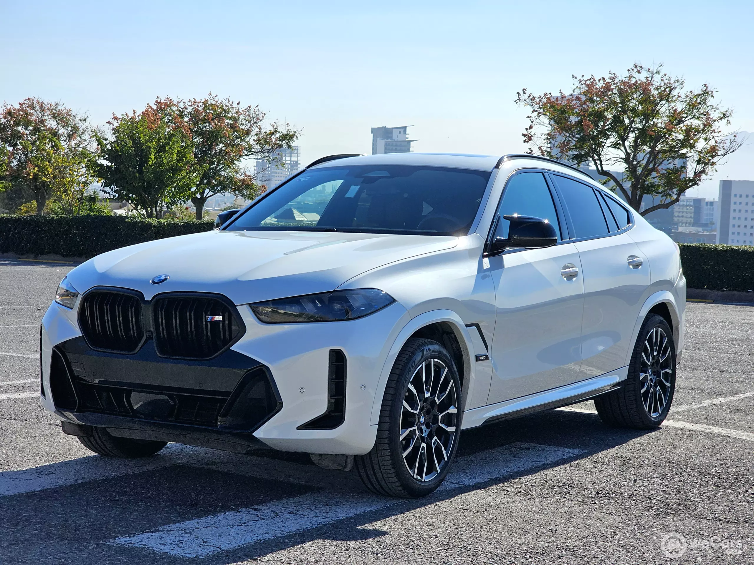 BMW X6 VUD