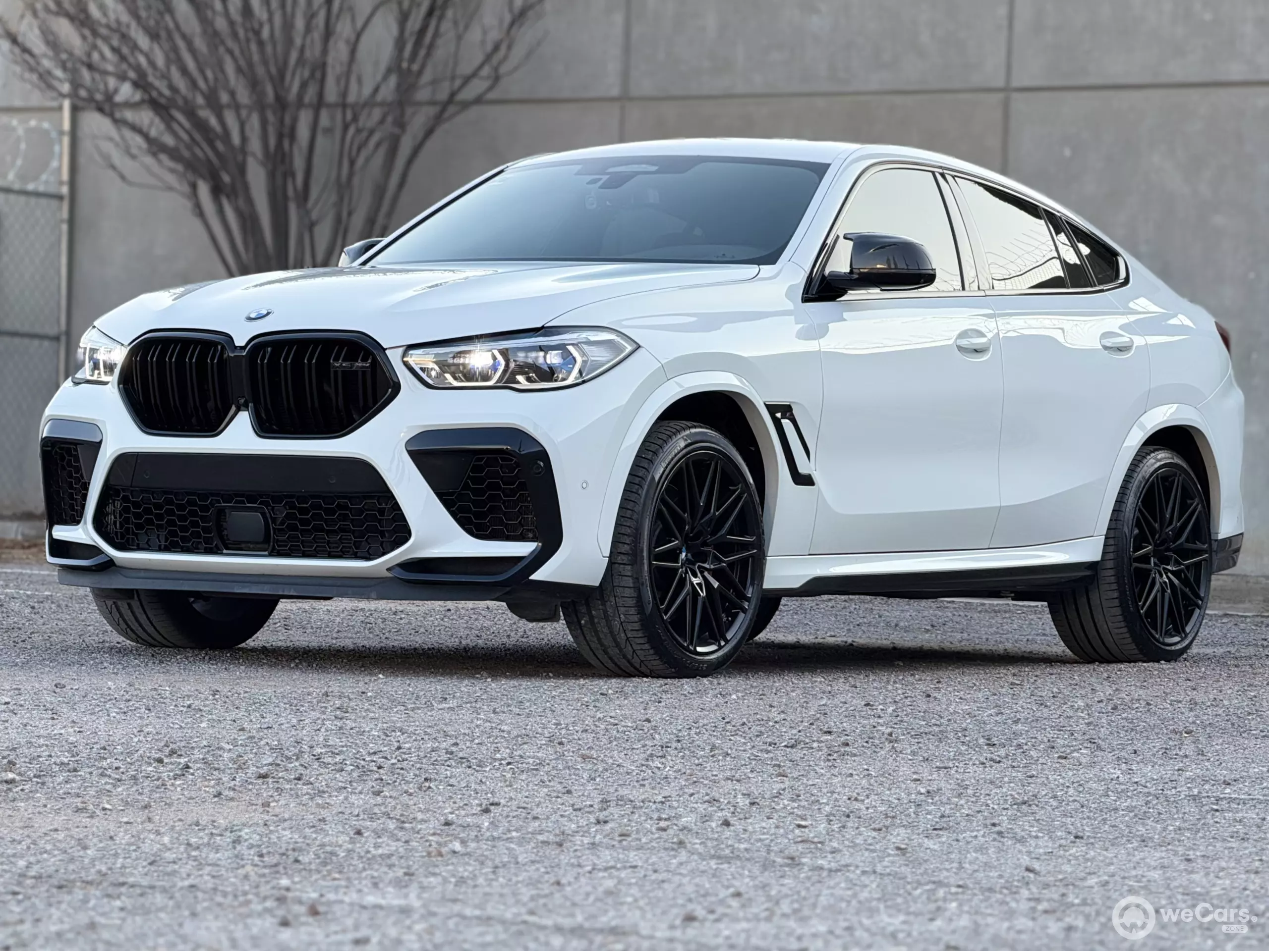 BMW X6 VUD