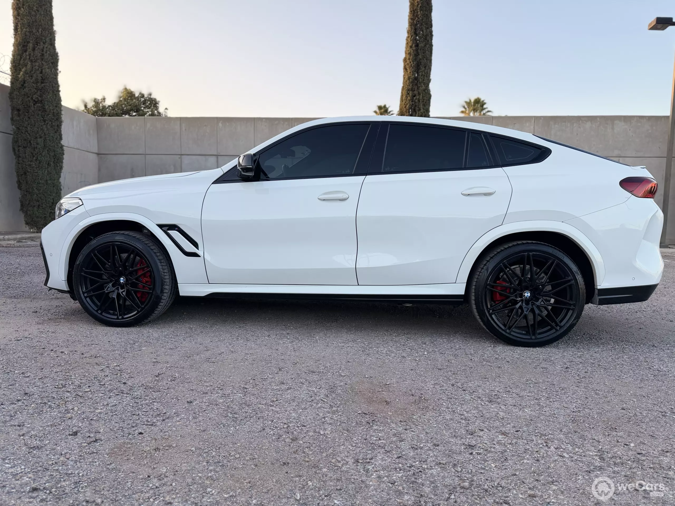 BMW X6 VUD