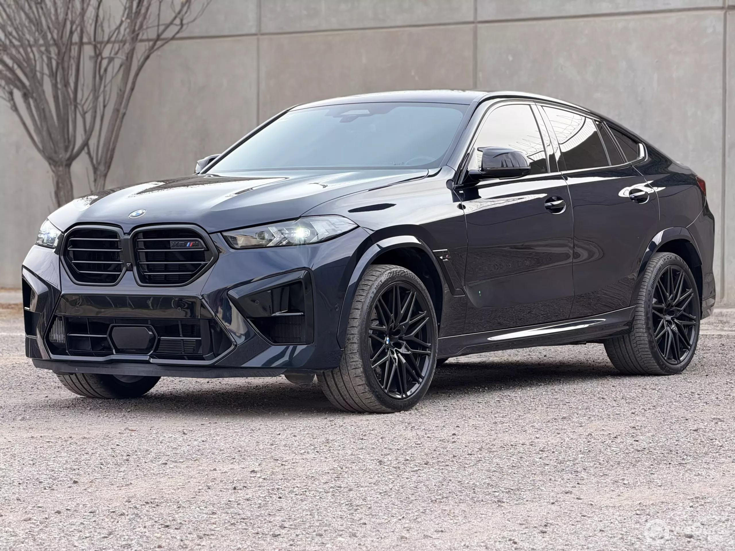 BMW X6 VUD