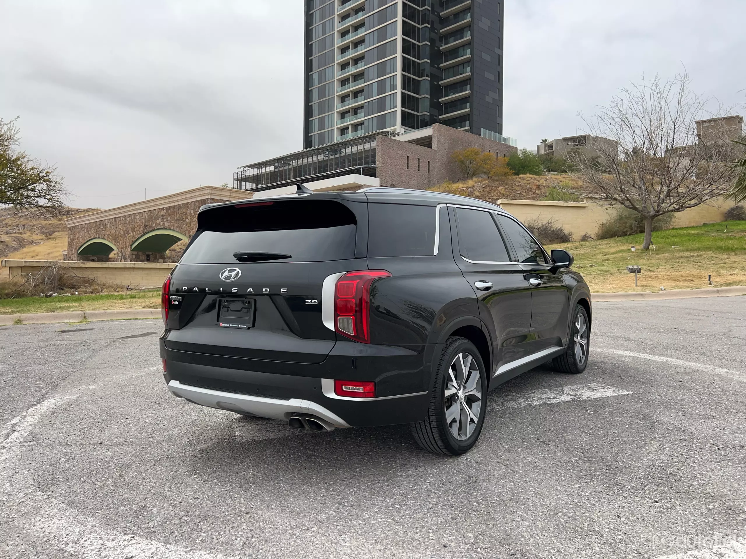Hyundai Palisade VUD