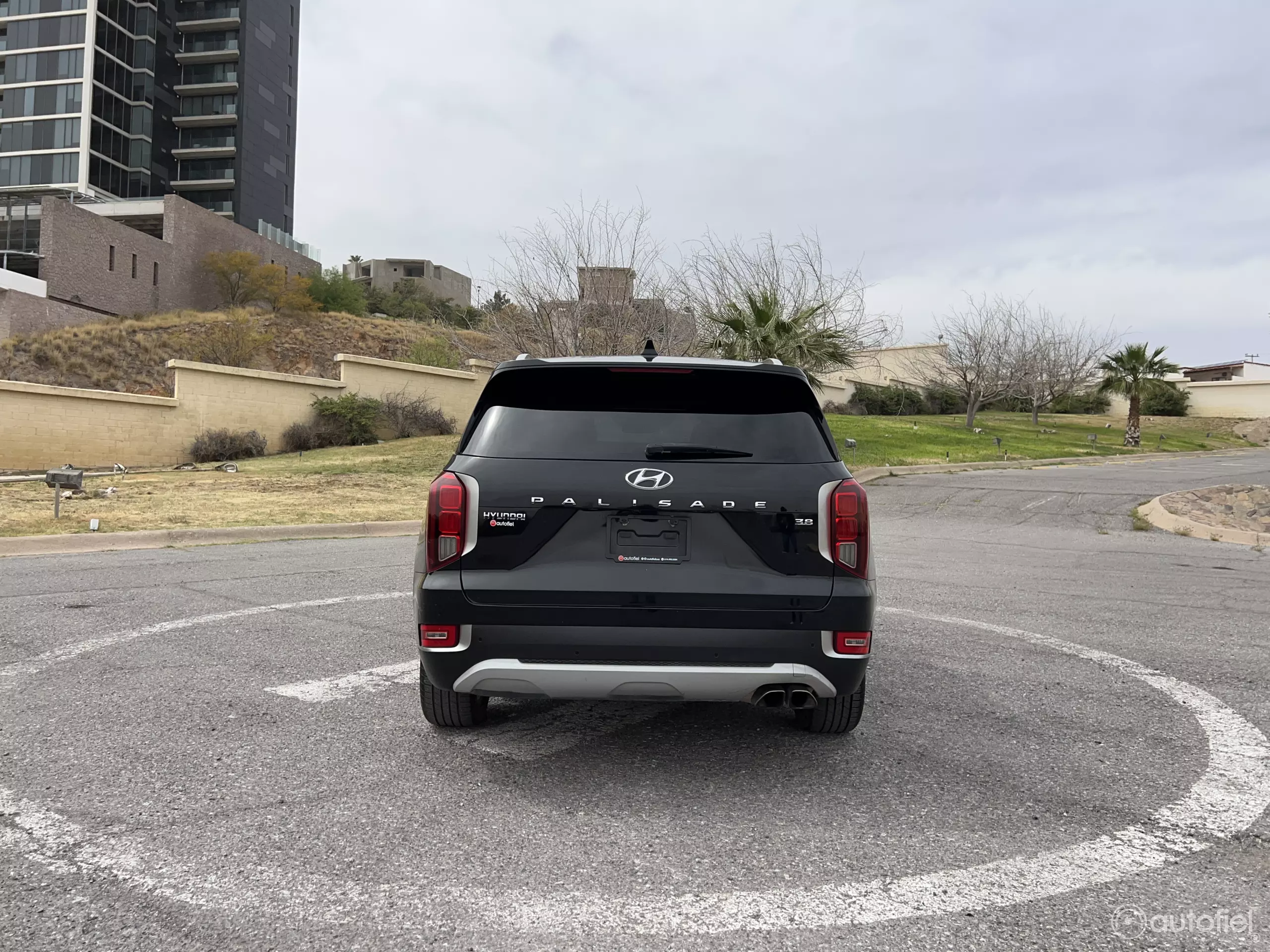 Hyundai Palisade VUD