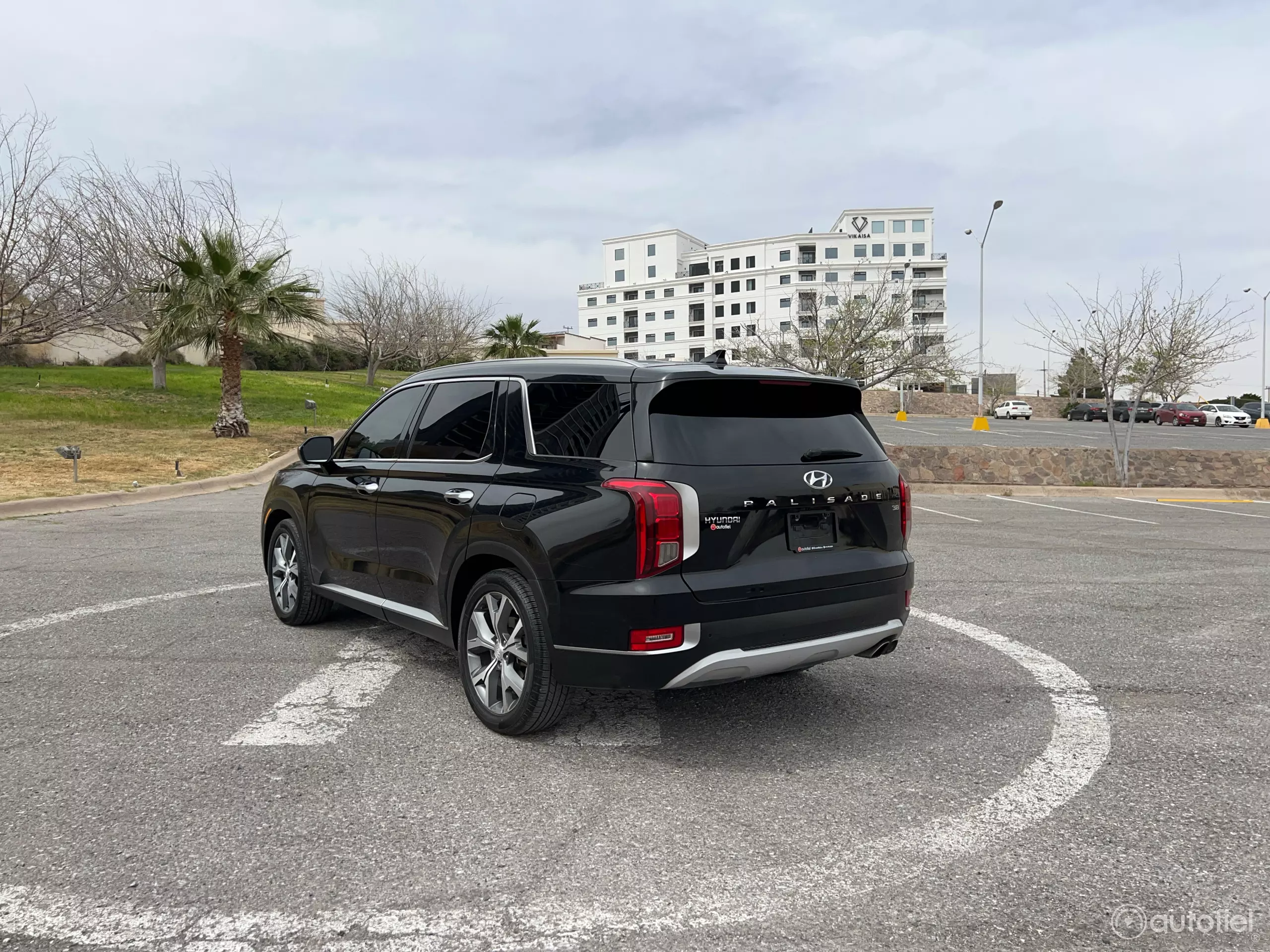 Hyundai Palisade VUD