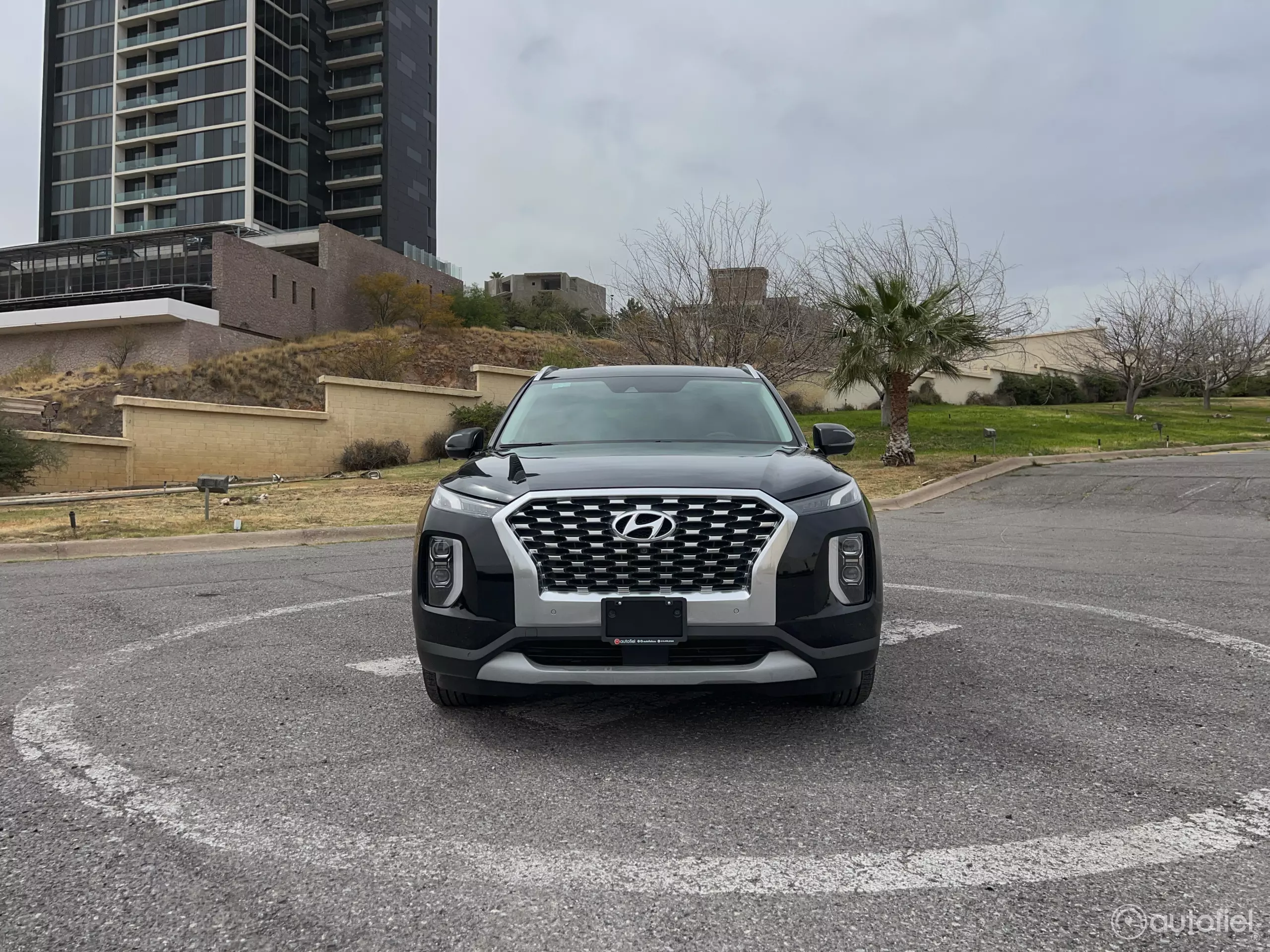 Hyundai Palisade VUD