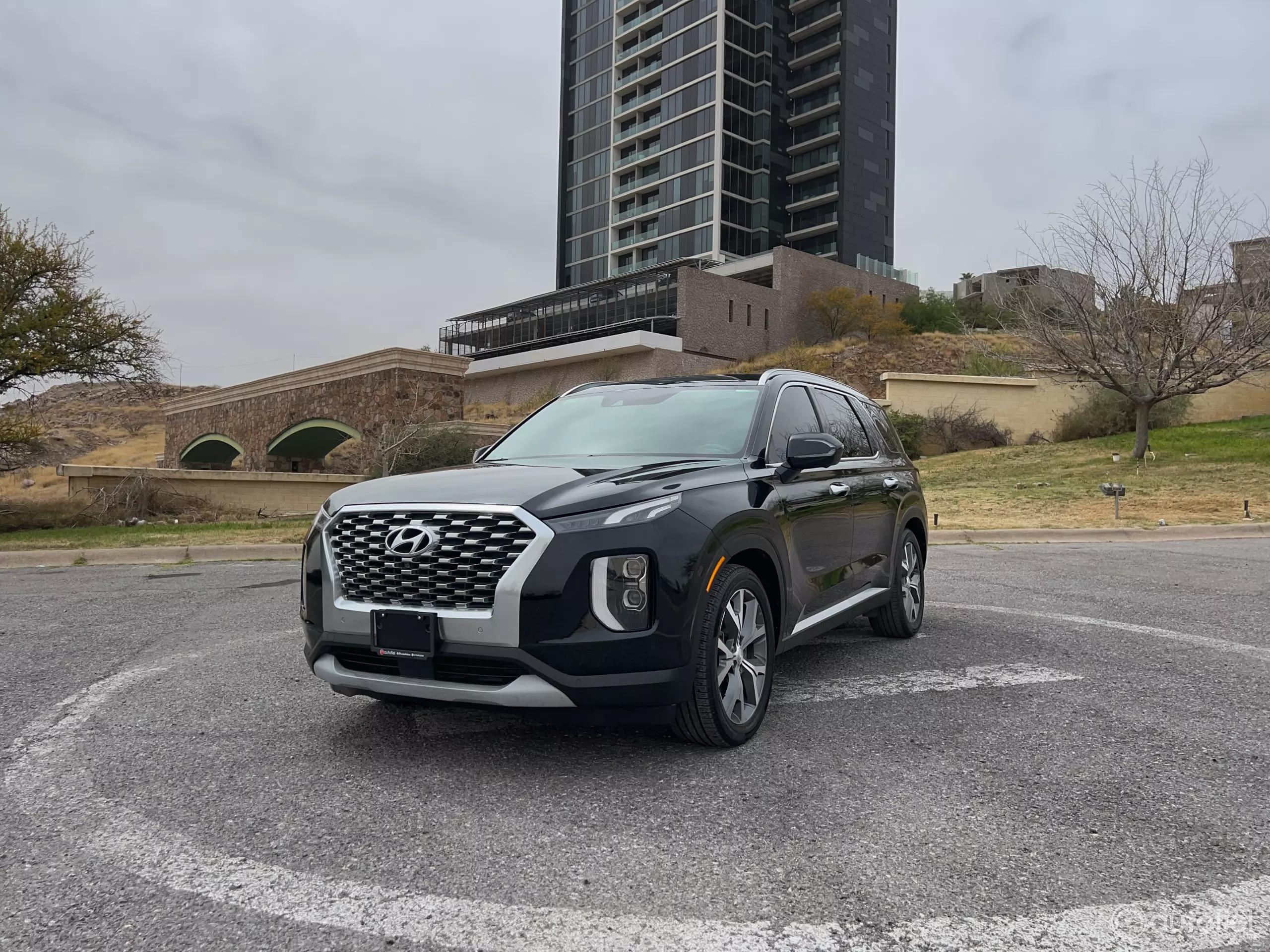 Hyundai Palisade VUD