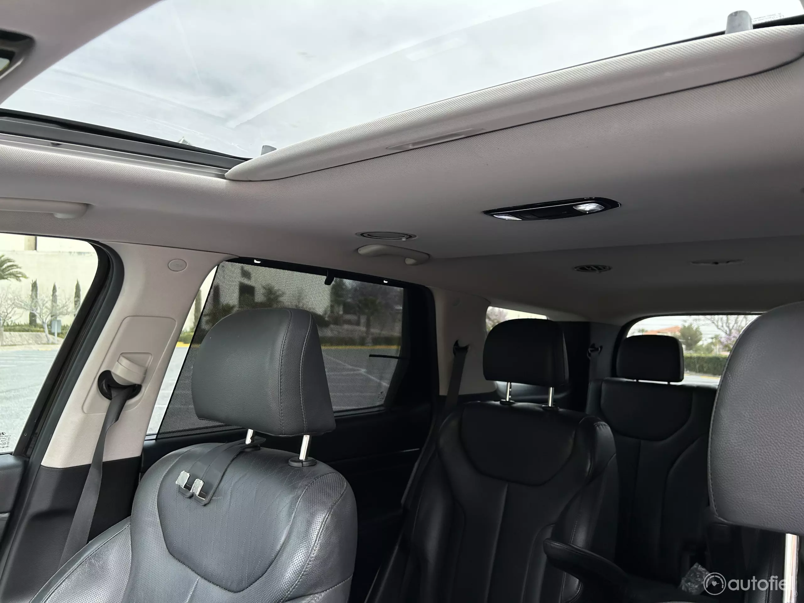 Hyundai Palisade VUD